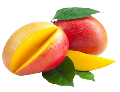 Mango Tommy one of our Tropical Fruit